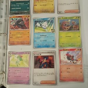 Colorful Pokemon Card Set